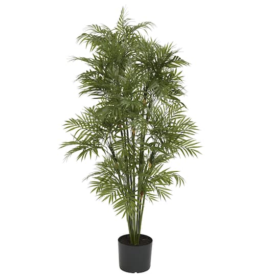 4ft. Potted Parlour Palm Tree